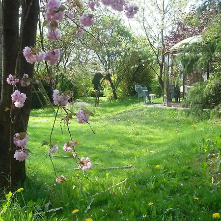 Spacious With Sauna * Beausaint