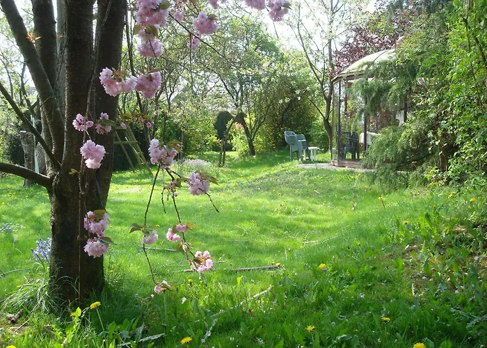 Spacious With Sauna * Beausaint